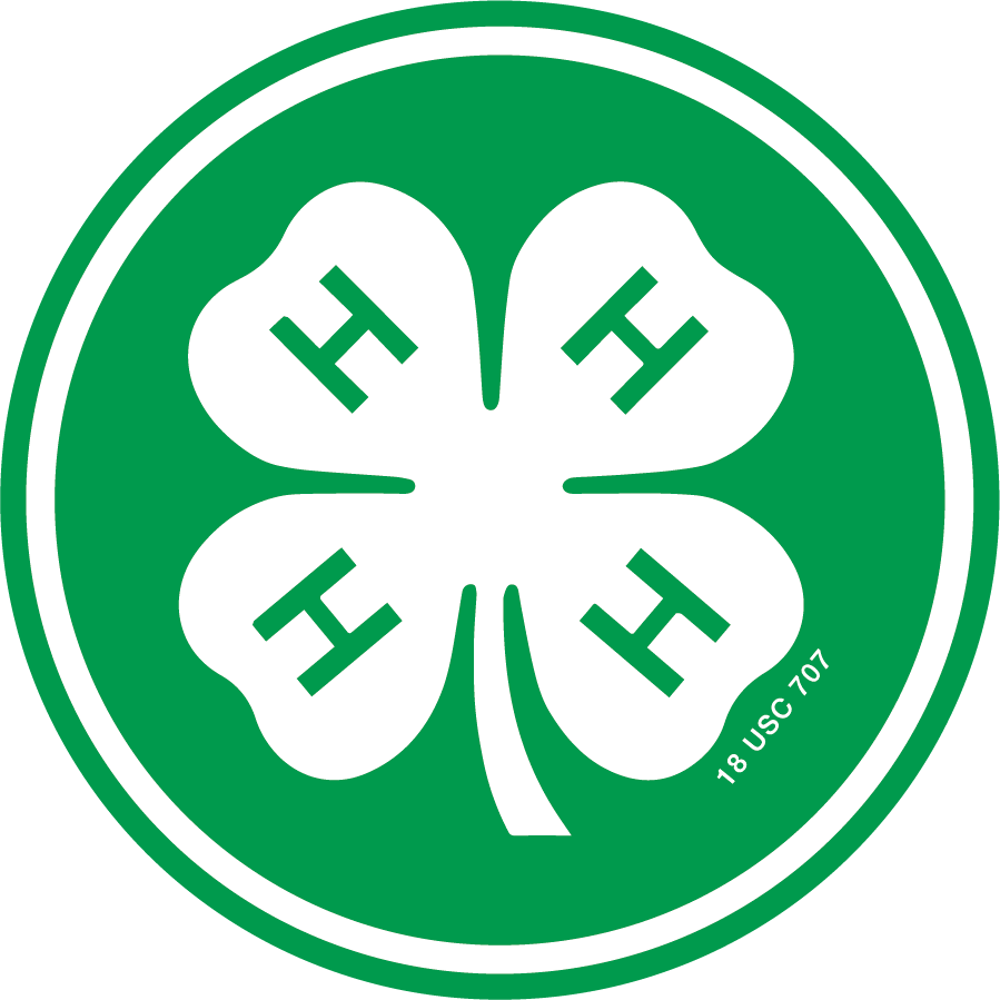 4H Icon color
