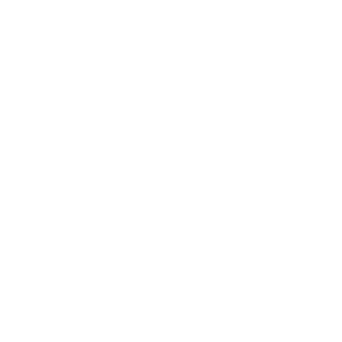 Voyager Icon white