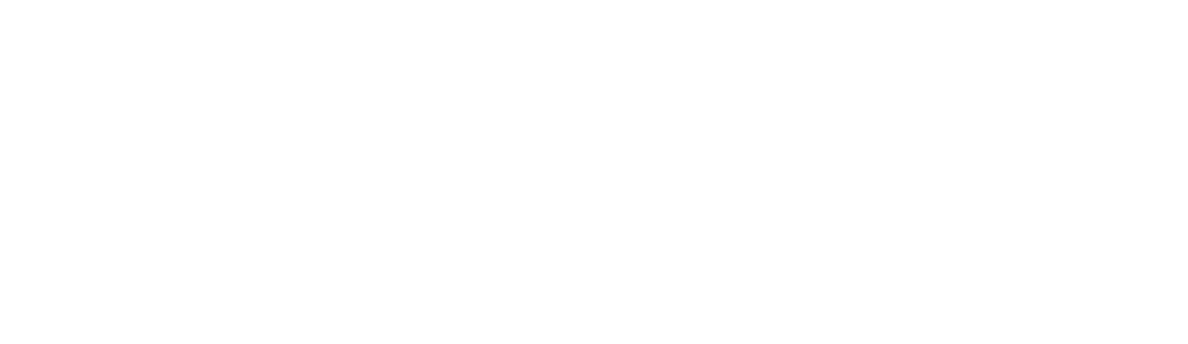 voyager white