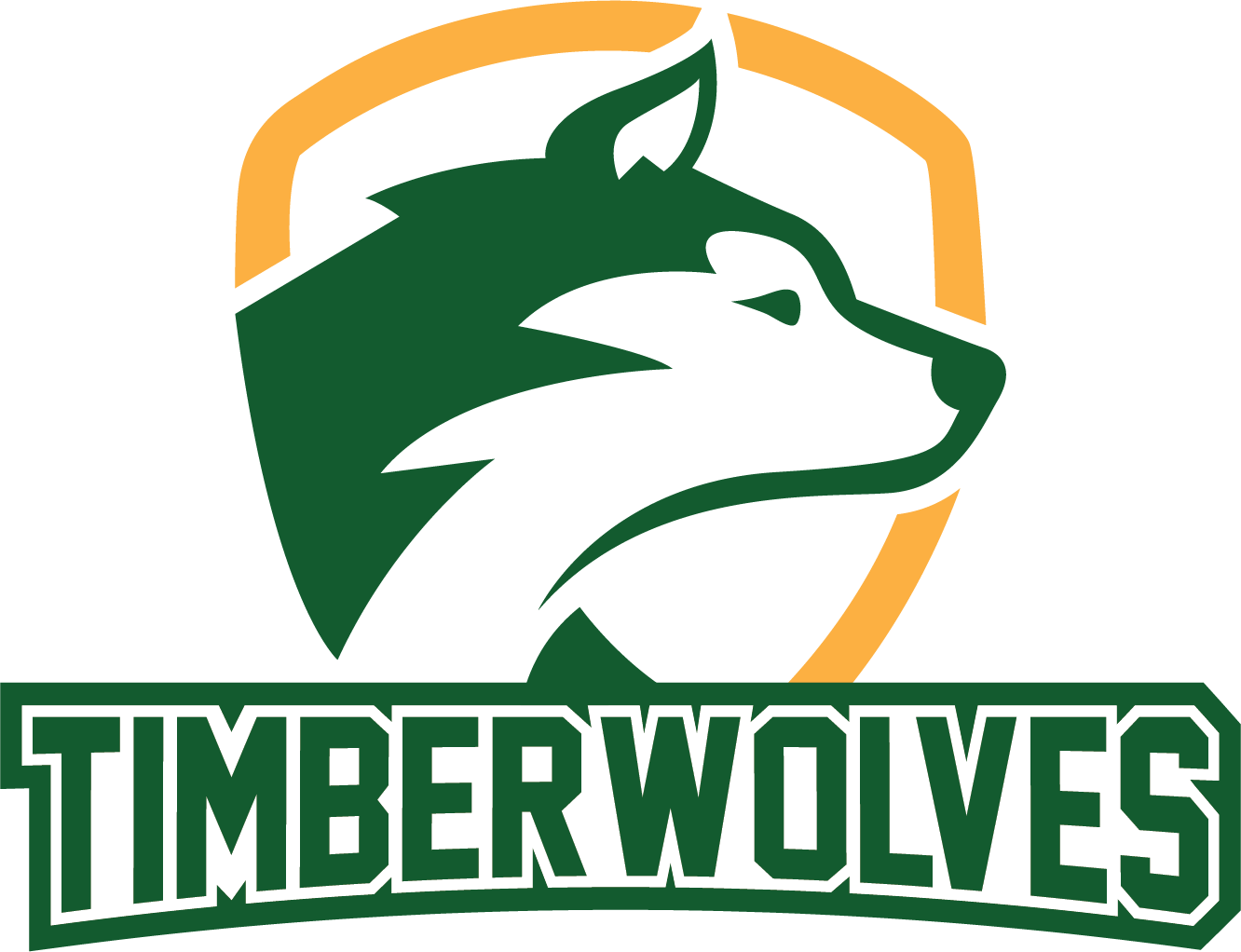Timberwolves Color 2