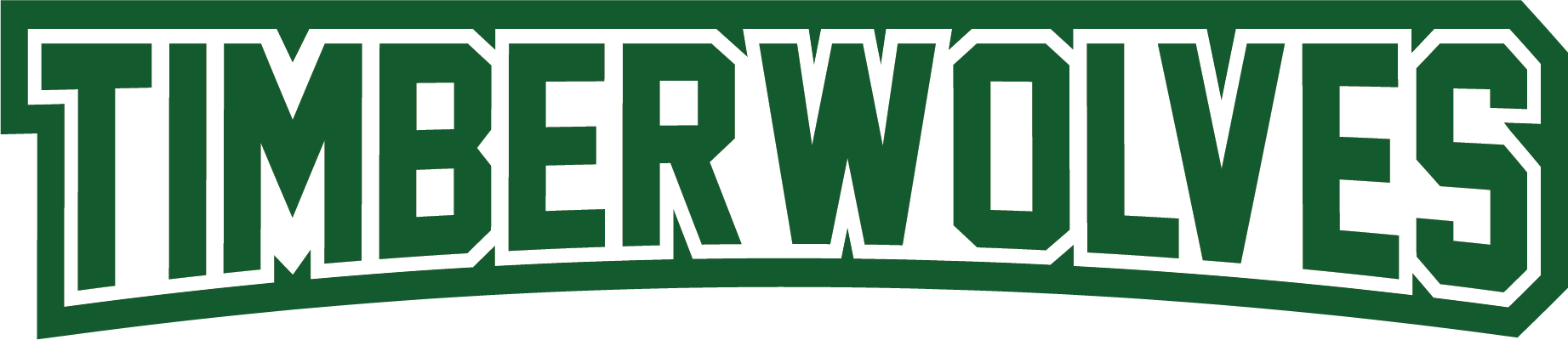 Timberwolves Wordmark Color 2