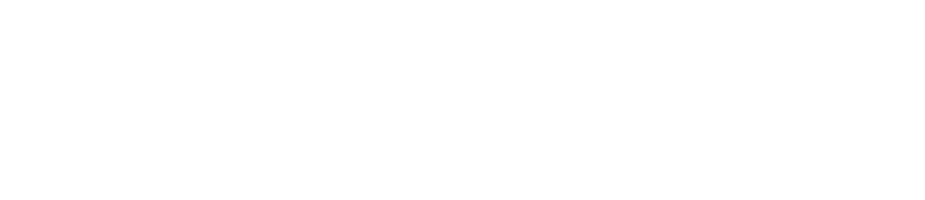 Timberwolves Wordmark White 2