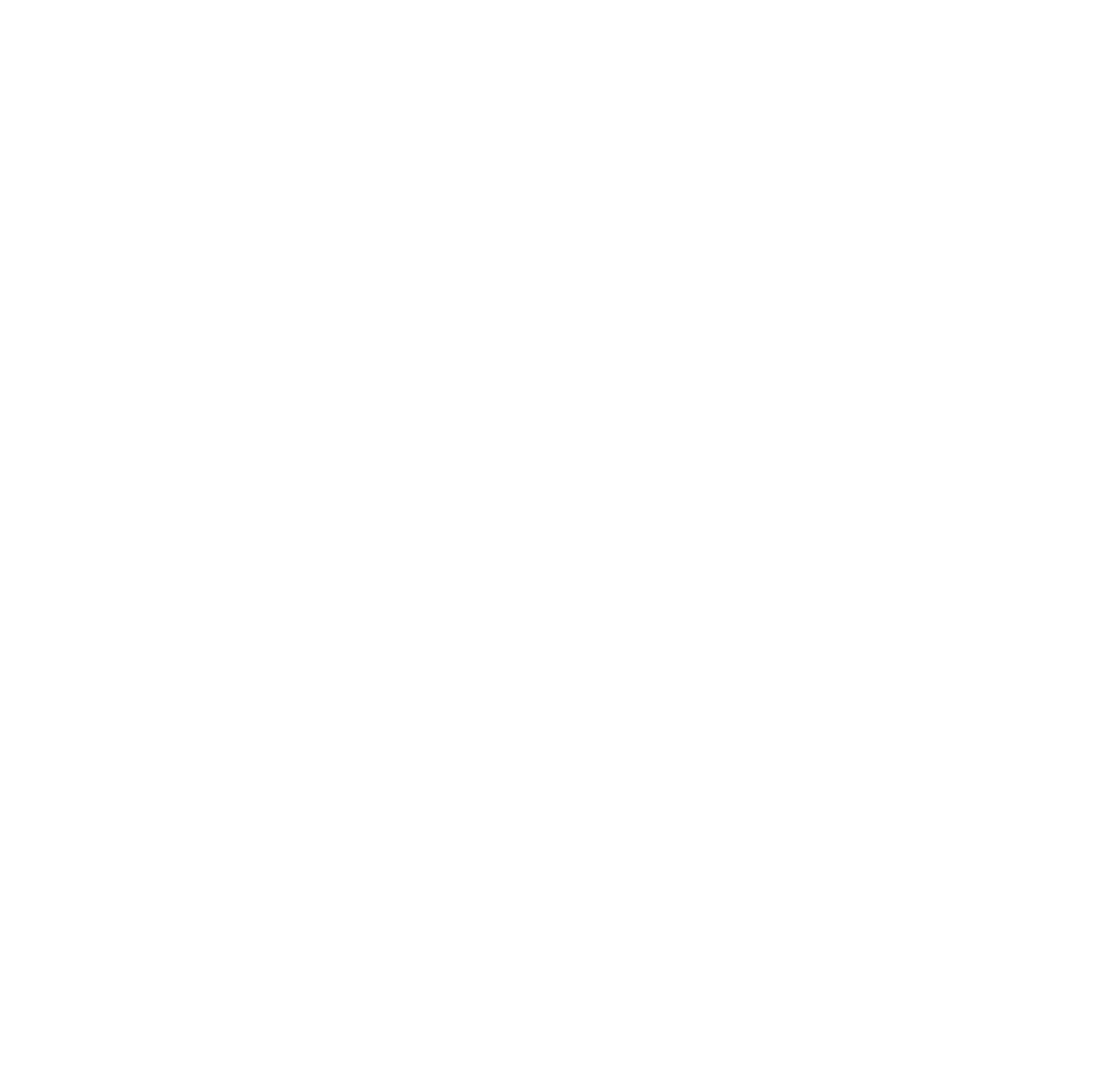 YLA Icon white